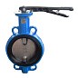 Затвор дисковый поворотный DN 40 PN 16 межфланцевый с диском из чугуна уплотнение-NBR ручной Seagull купить в Москве | "Проконсим"