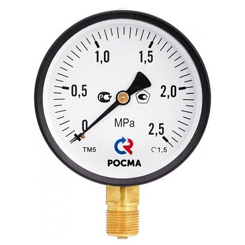 Манометр общетехнический Росма ТМ-510Р.00, до 0,25МПа M20x1,5, 100мм, радиальное присоединение, класс точности 1.5, IP54 купить в Москве | "Проконсим" Манометр общетехнический Росма ТМ-510Р.00, до 0,25МПа M20x1,5, 100мм, радиальное присоединение, класс точности 1.5, IP54 купить в Москве | "Проконсим"