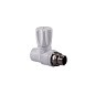 Вентиль для радиатора ПП 25-3/4'' PN 25 прямой с американкой белый РТП 10535 купить в Москве | "Проконсим"