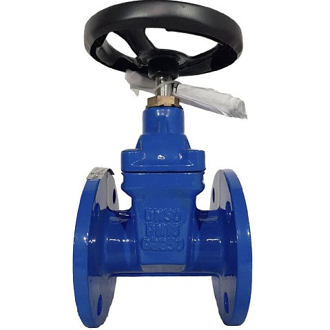 Задвижка чугунная 30ч39р DN 50 PN 10(16) с обрезиненным клином EPDM до 120гр. фланцевый ручной СИБЗТА купить в Москве | "Проконсим" (930130200)