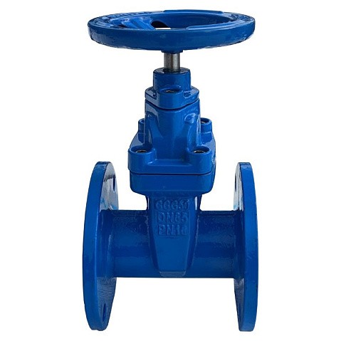 Задвижка чугунная 30ч39р DN 65 PN 10(16) с обрезиненным клином EPDM до 120гр. КНР купить в Москве | "Проконсим" (101469026)