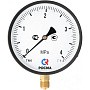Манометр Росма ТМ-610Р 0,6 МПа / 6 ат 150мм G1/2'' купить в Москве | "Проконсим"