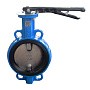 Затворы поворотные дисковые DN 32-300 PN 16 межфланцевые с чугунным диском рычаг Seagull купить в Москве | "Проконсим"