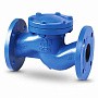 Клапан обратный подъемный фланцевый FAF 2250, DN 100, PN 16 корпус-чугун, диск-нержавеющаясталь, уплотнение-нержавеющая сталь купить в Москве | "Проконсим"