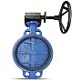 Затворы поворотные дисковые DN 350-600 PN 16 межфланцевые с чугунным диском с редуктором FAF купить в Москве | "Проконсим"